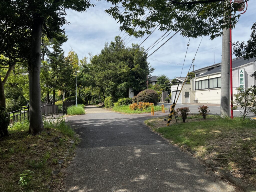 右手に大島歯科医院が見えてきました